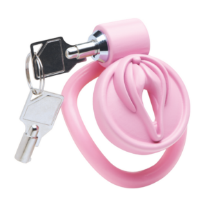 Vulva Kaste Roze Sensuele Transformatie Pussification
