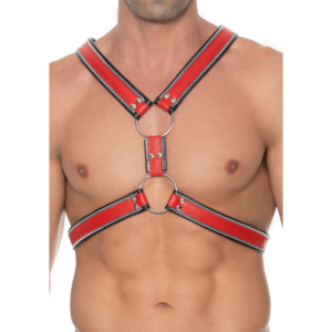 Rood Leren BDSM Harnas Staal O Ringen S M Ouch Shots