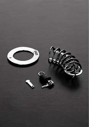 The spiked Chasity Cage - Stainless Steel - Afbeelding 2