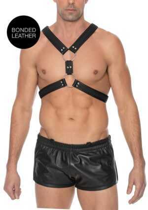 Scottish Harness - L/XL - Black - Afbeelding 1