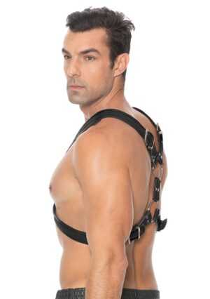 Scottish Harness - L/XL - Black - Afbeelding 6