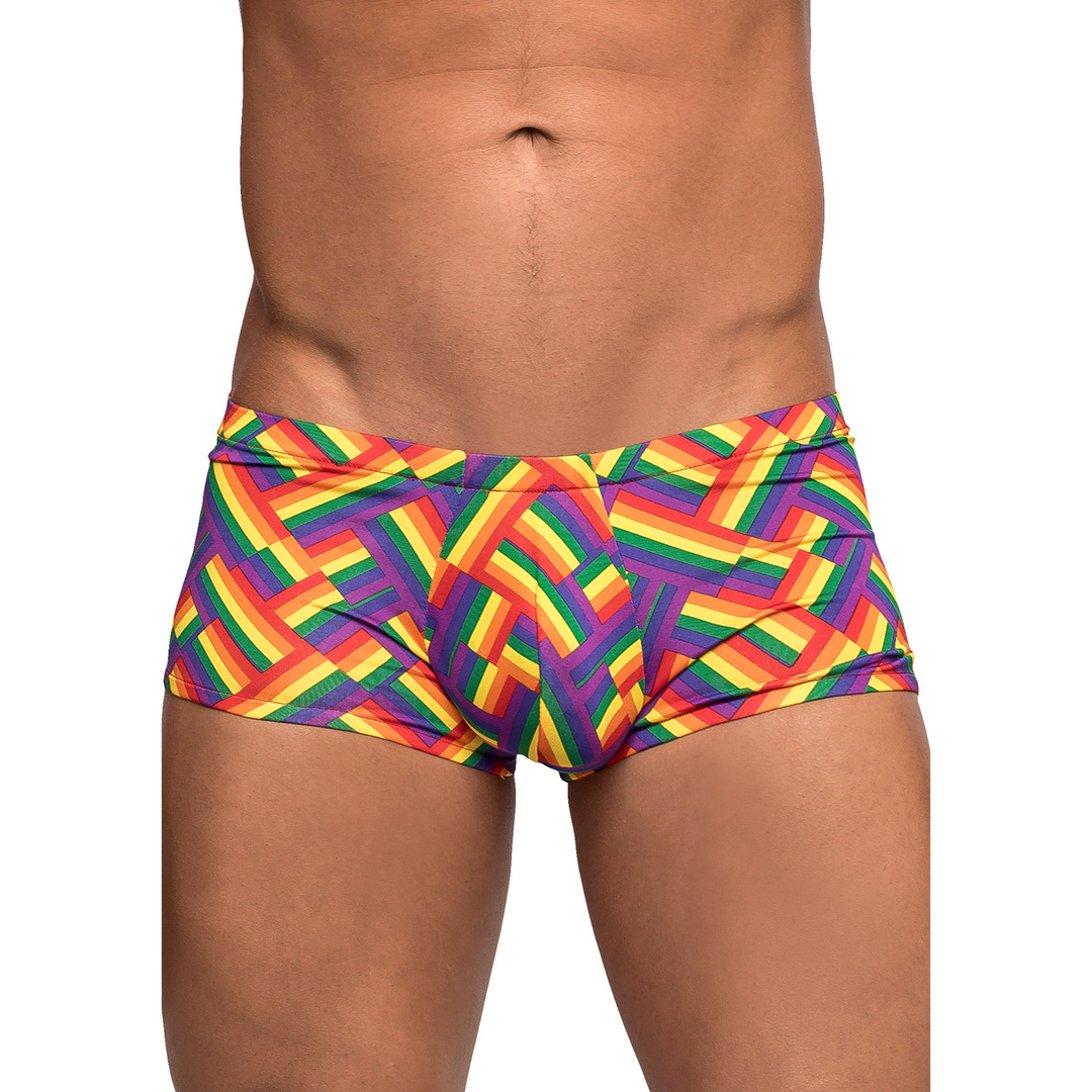 Pride Fest - Mini Short - S - Pride