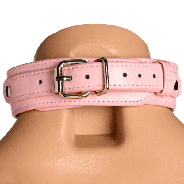 Master Series - Vixen - Vrouwelijke Borstharnas - Roze