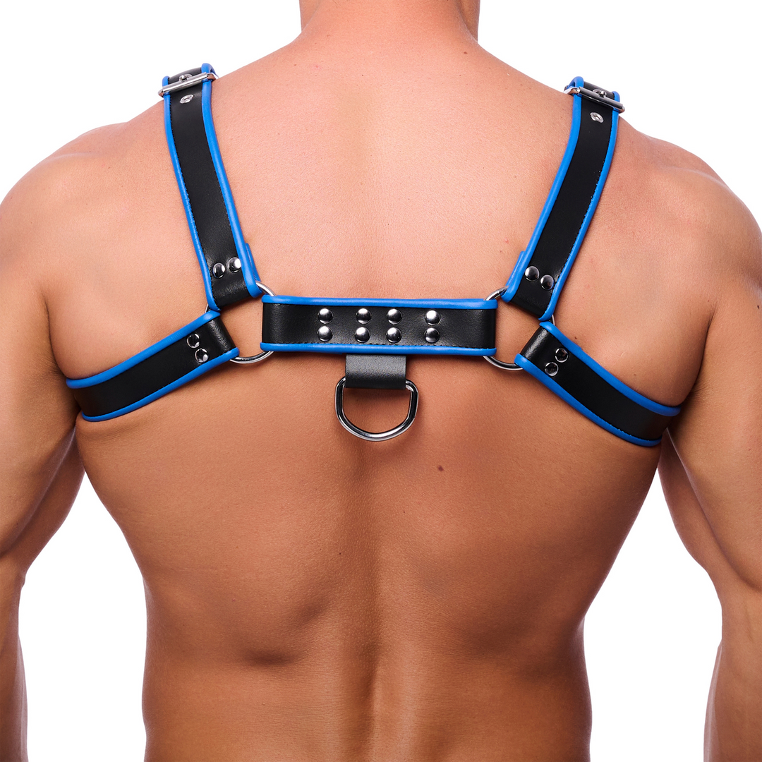 Premium Leren Harnas - L/XL - Zwart/Blauw
